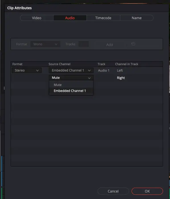 Screenshot of Clip Attributes in Davinci Resolve