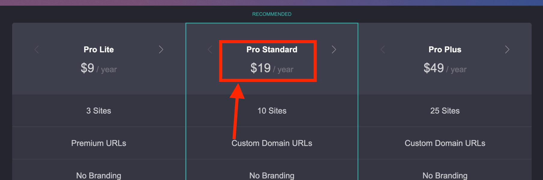 Showing that the Pro Standard Version allows for Custom Domain names