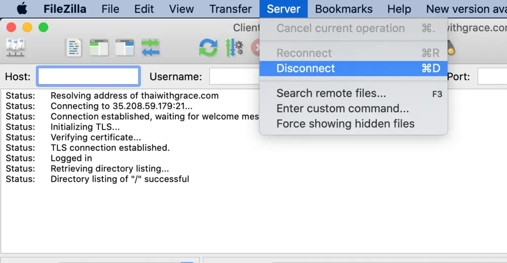 Screenshot on how to disonnect on FileZilla