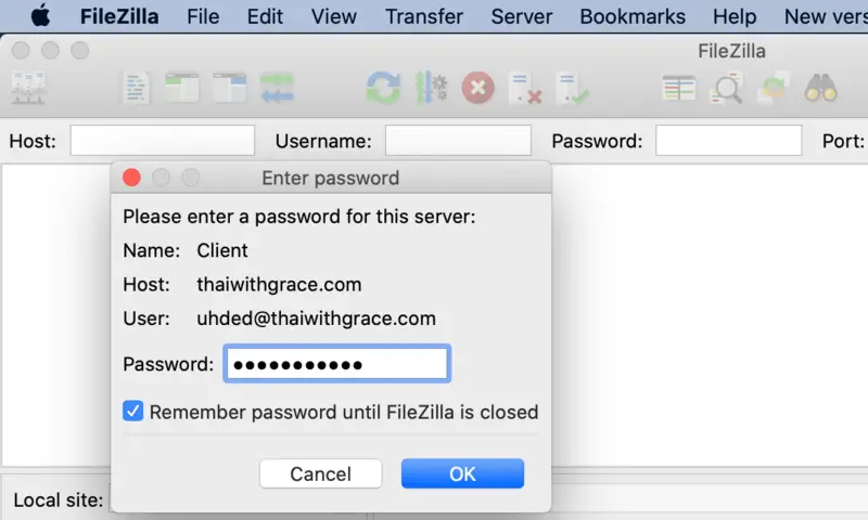 Screenshot on entering password on FileZilla